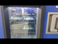 তাপমাত্রা এবং আর্দ্রতা পরীক্ষার চেম্বার