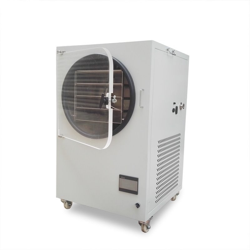 750w Vacuum Dryer Lab Drying Oven small vacuum freeze dryer 145*275mm Household freeze dryer